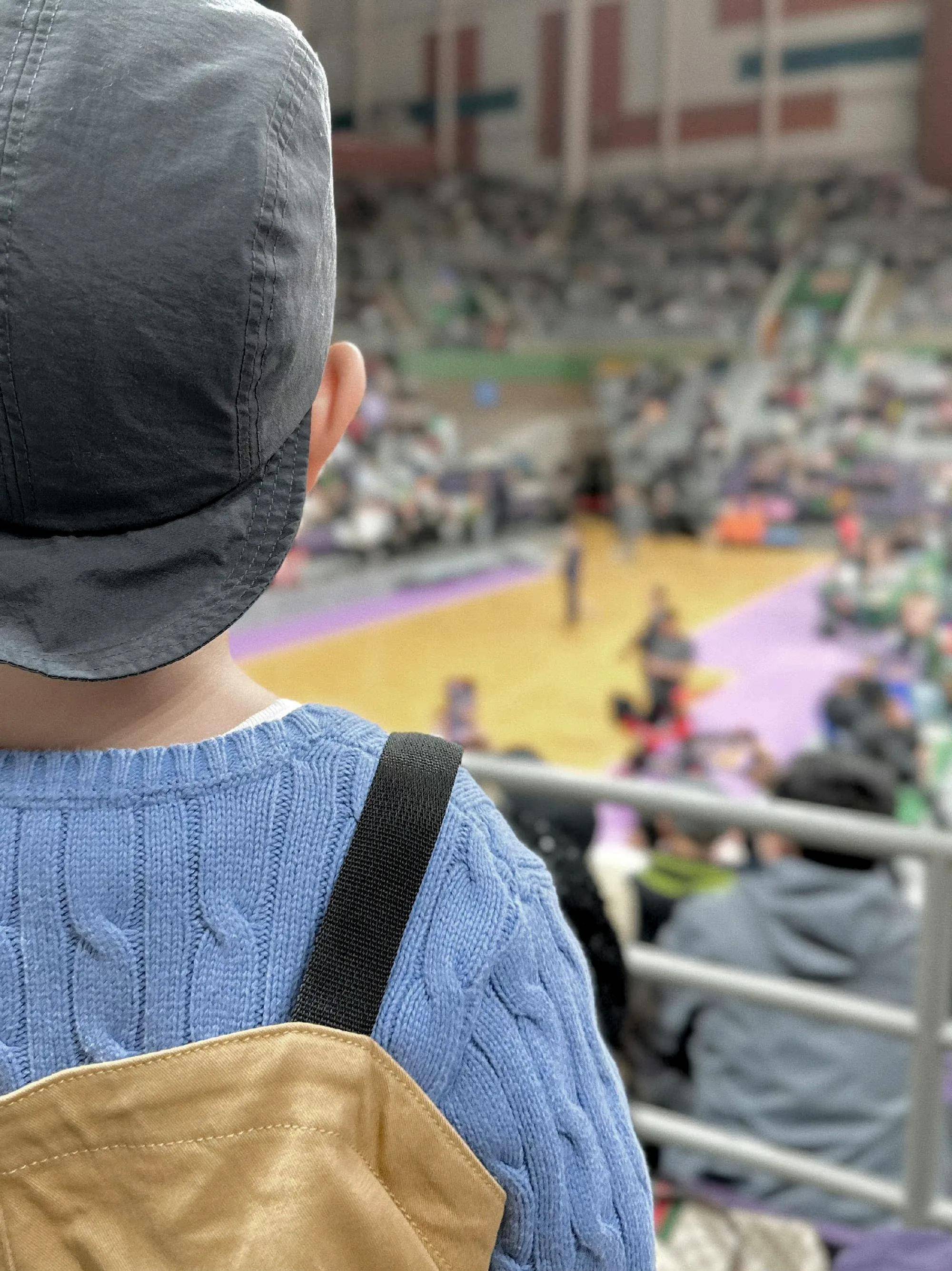 TheShy焦点对战，浓眉哥与80激战塞尔维亚队分钟，出色防守胜负难料！的简单介绍