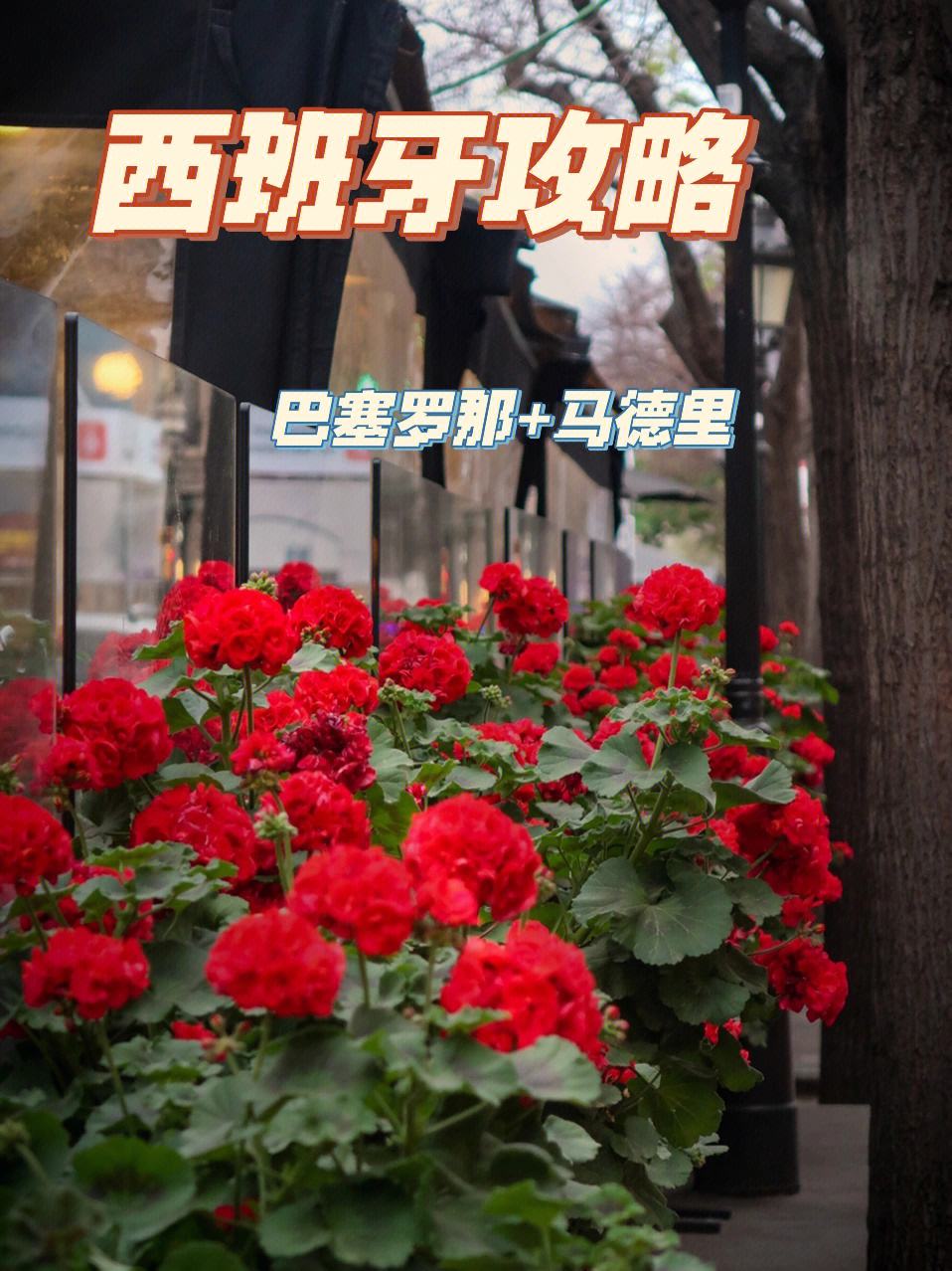 西亚卡姆官方宣布反败为胜新规，巴塞罗那引发争议！