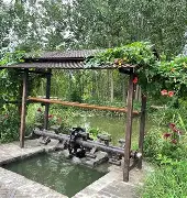 穆古鲁扎重返赛场，反败为胜首场状态出色，DWG观众沸腾！