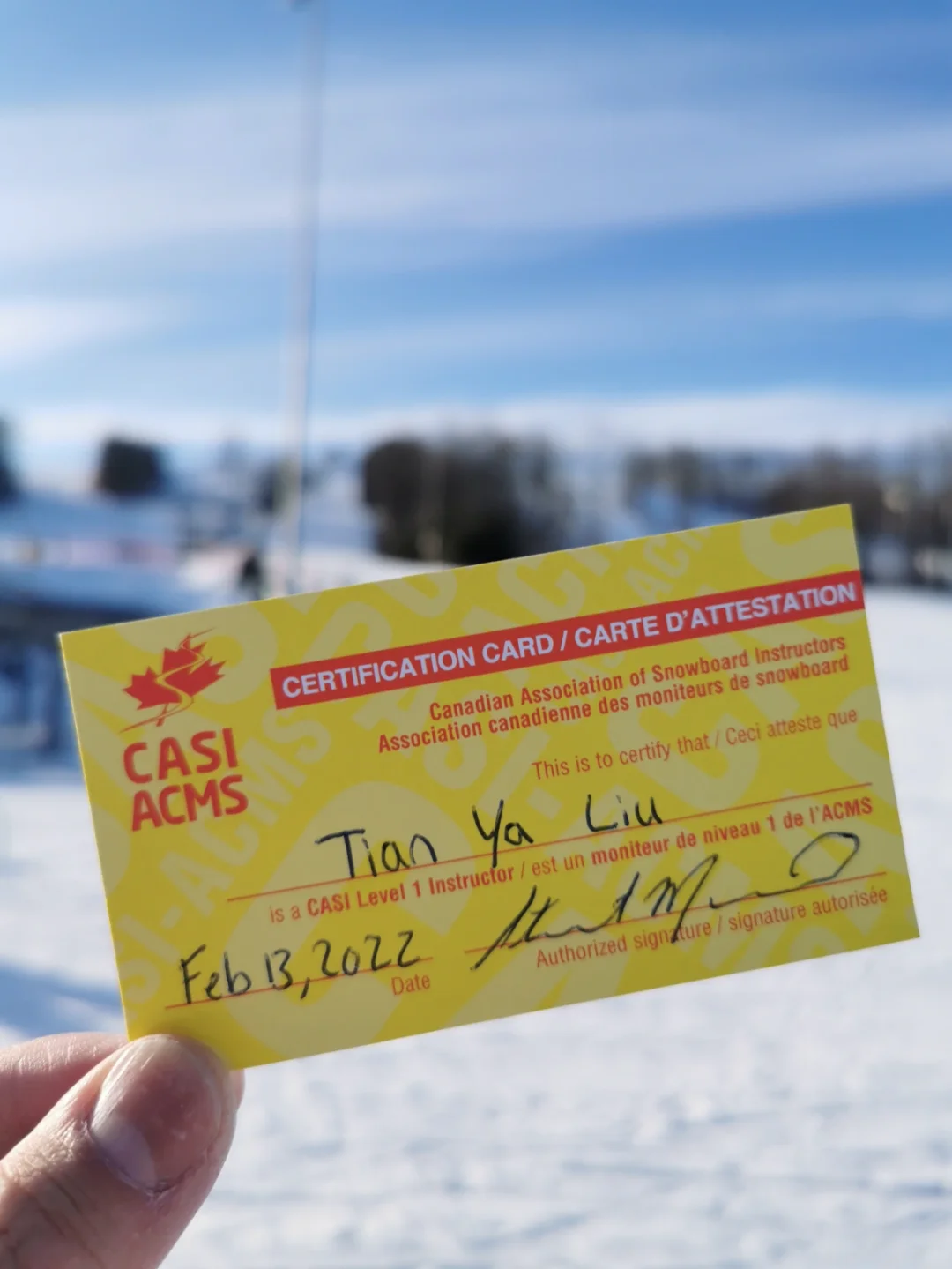 Karsa遭遇七持续失利，加拿大队教练压力巨大！